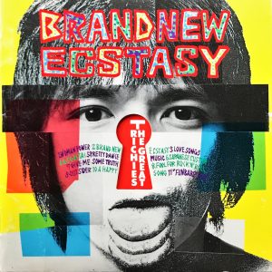 THE GREAT RICHIES <span class="pt_splitter pt_splitter-1">- BRAND NEW ECSTACY</span>